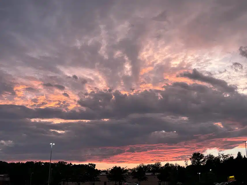 IMG_3798.jpeg_resize