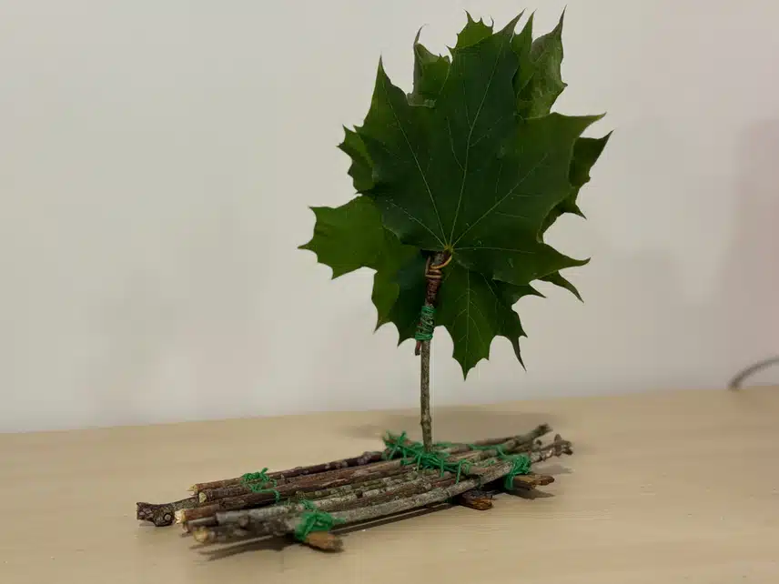 IMG_0864.jpeg_resize