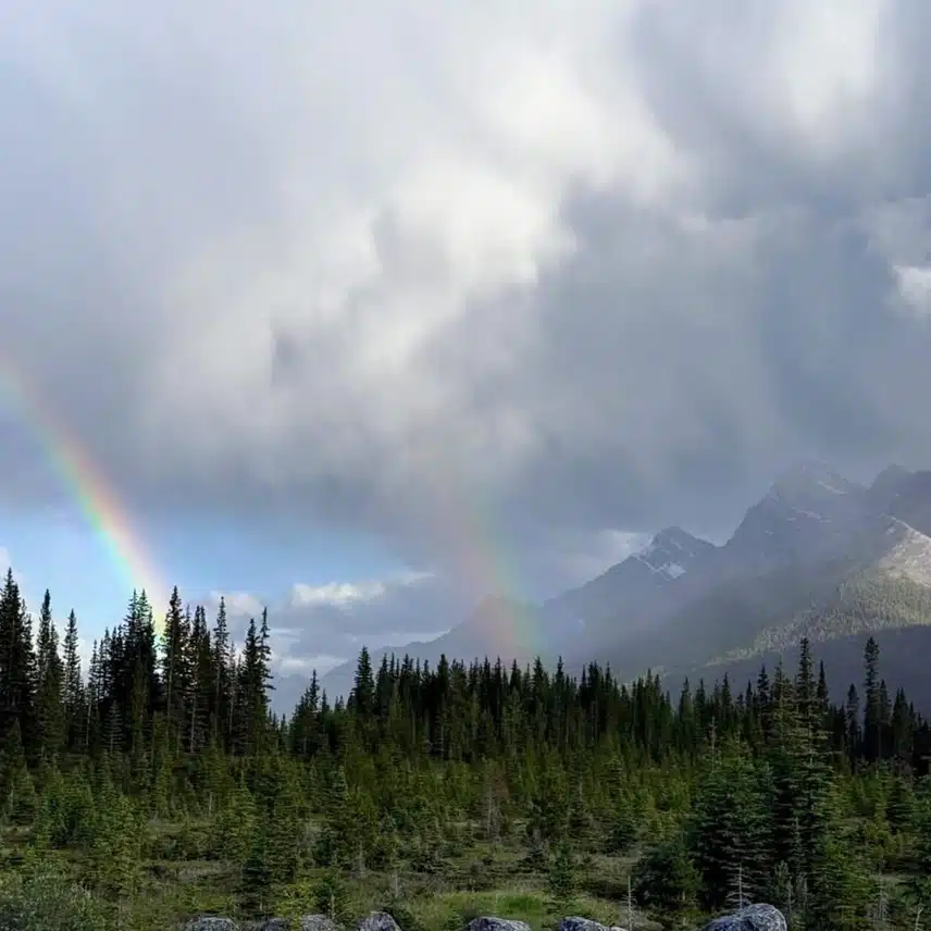 IMG_9779.jpeg_resize