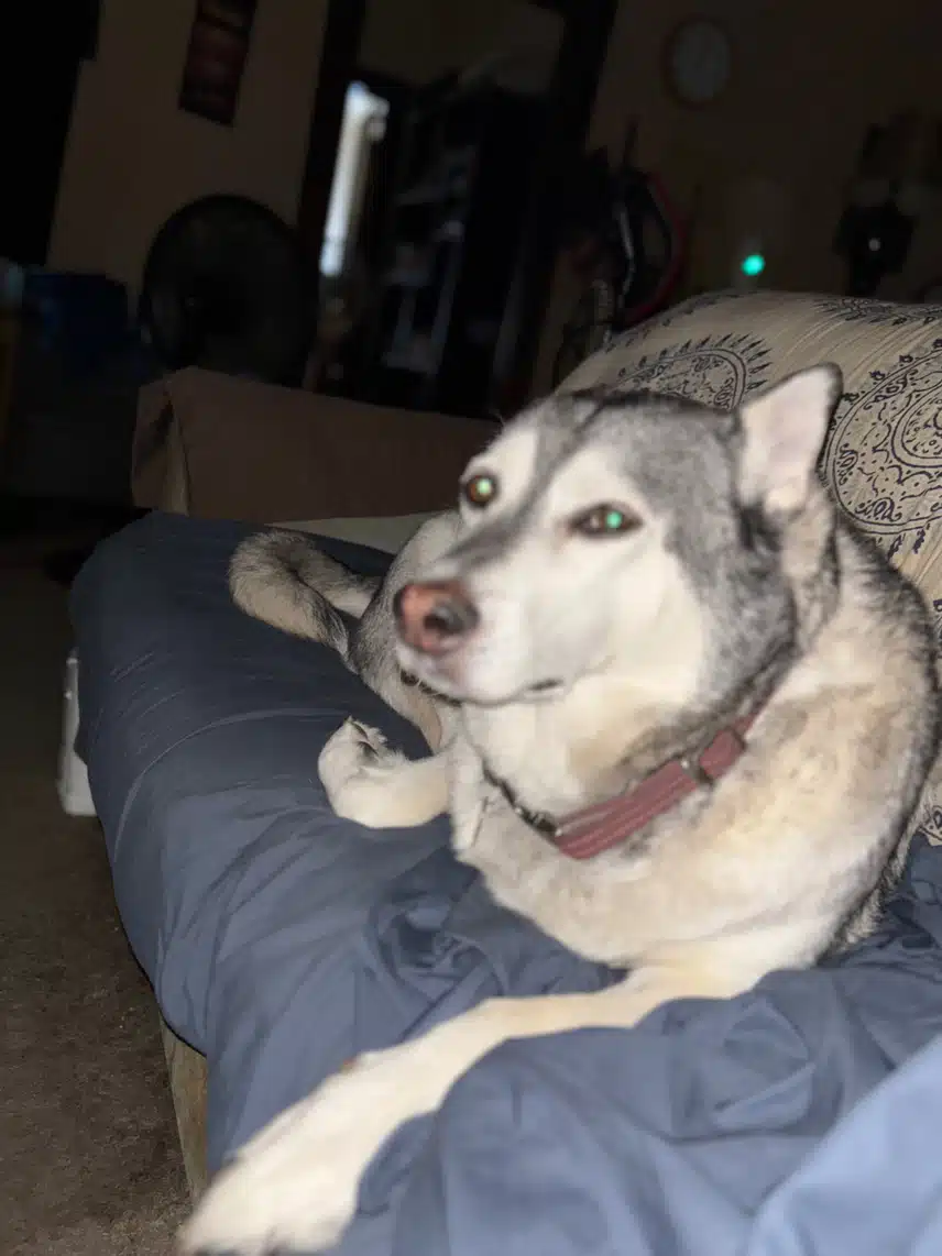 IMG_0184.jpeg_resize