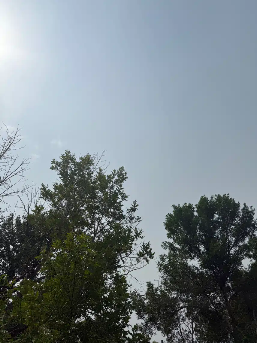 IMG_0927.jpeg_resize