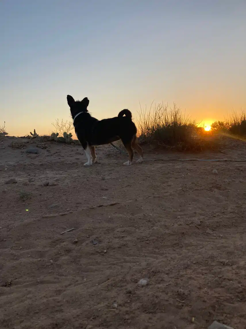 IMG_5204.jpeg_resize