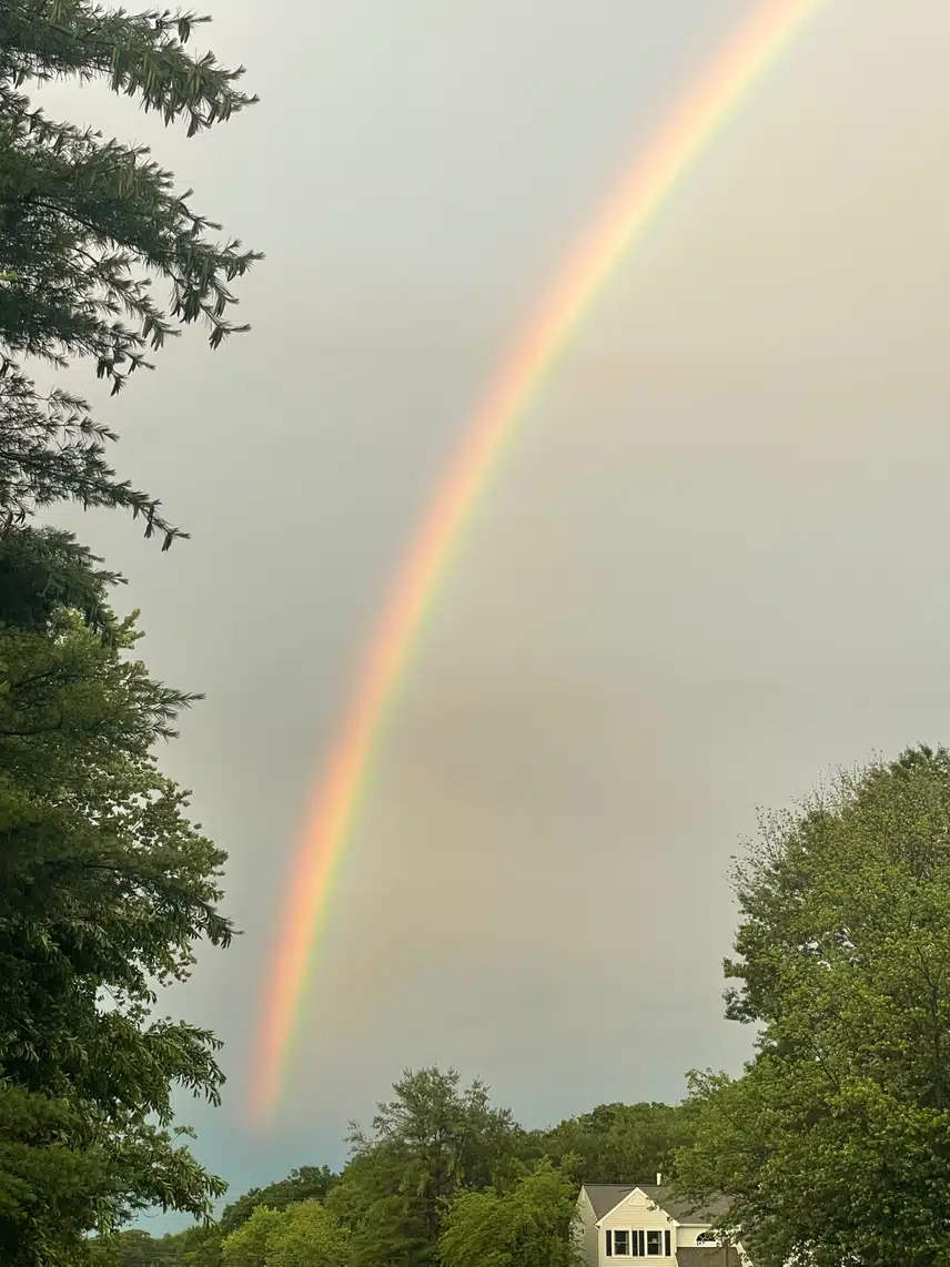 IMG_1489.jpeg_resize