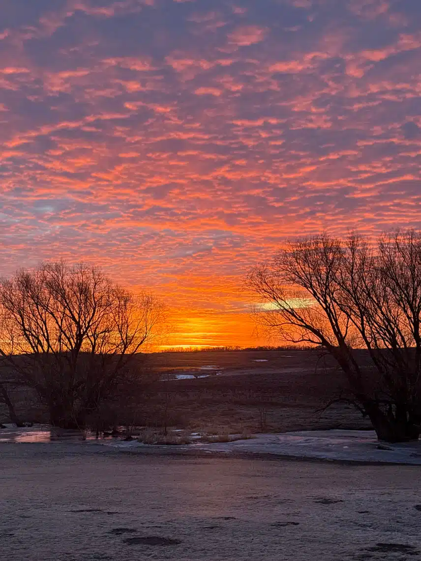 76477007715__35908B1C-0906-4364-80DE-E9D5F9FAAA4E.jpeg_resize