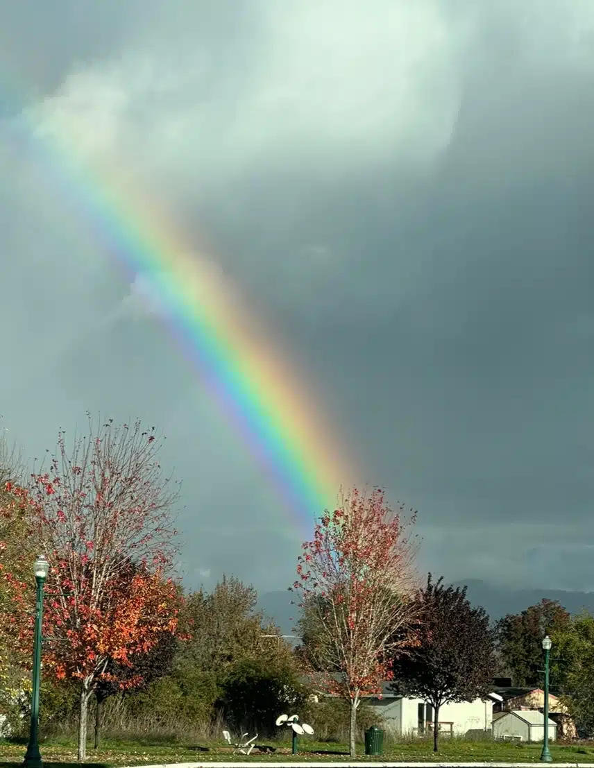 IMG_5910.jpeg_resize