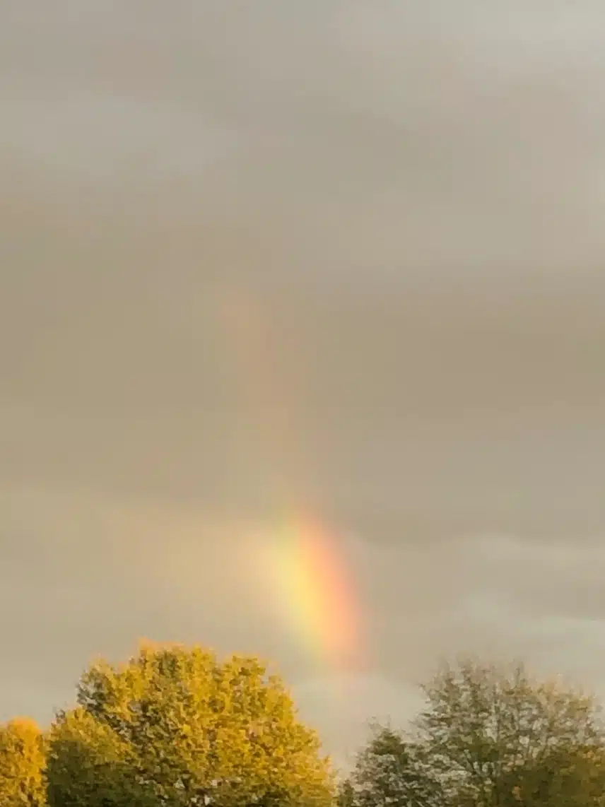 IMG_3957.jpeg_resize