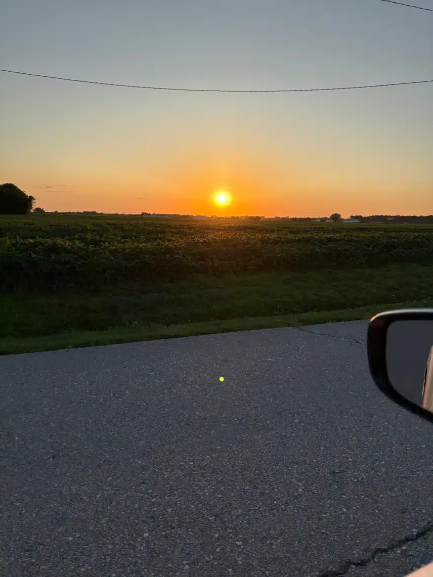 IMG_0873.jpeg_resize