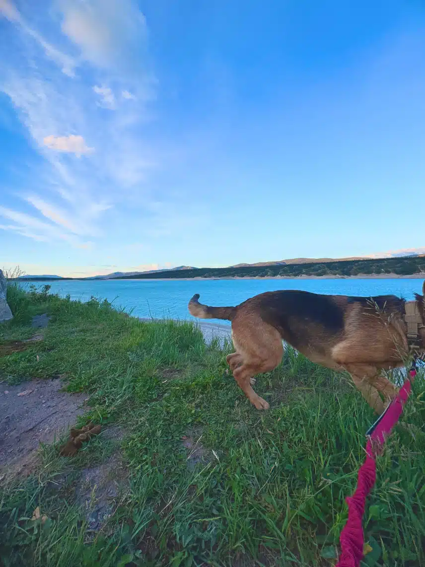 IMG_1822.jpeg_resize