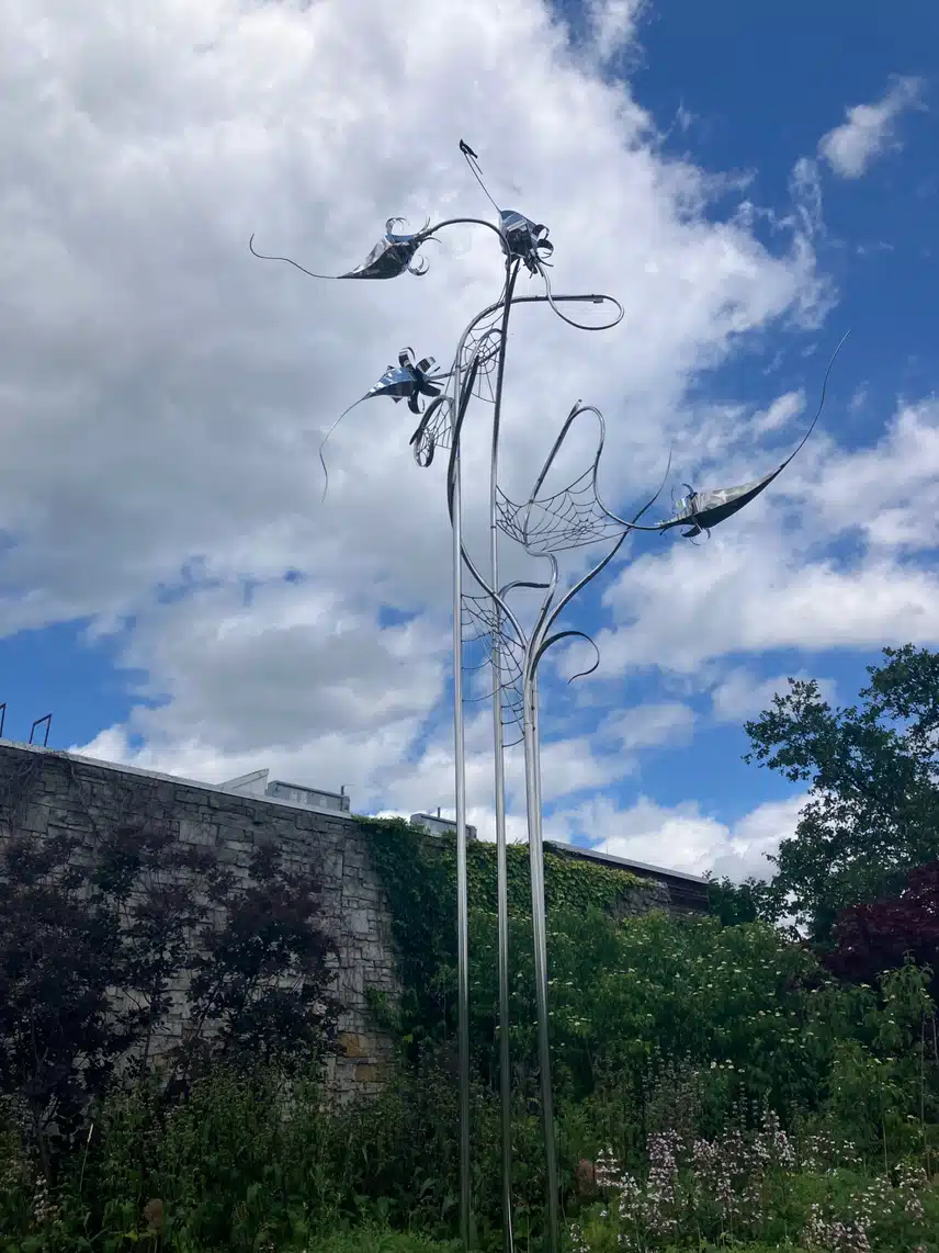 IMG_0196.jpeg_resize