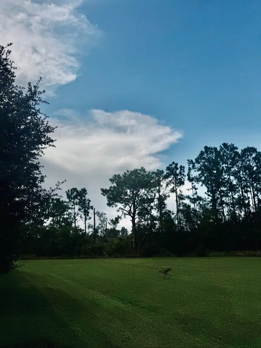 IMG_4089.jpeg_resize