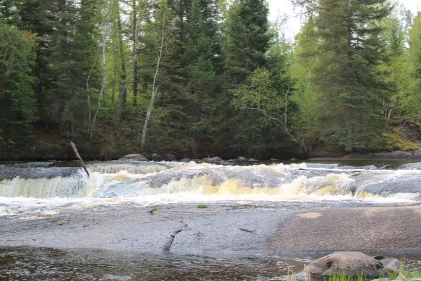 IMG_2569.jpeg_resize