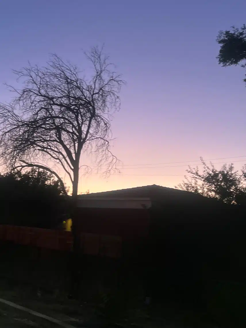 IMG_8369.jpeg_resize