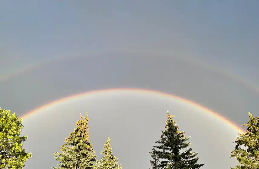 IMG_3584.jpeg_resize