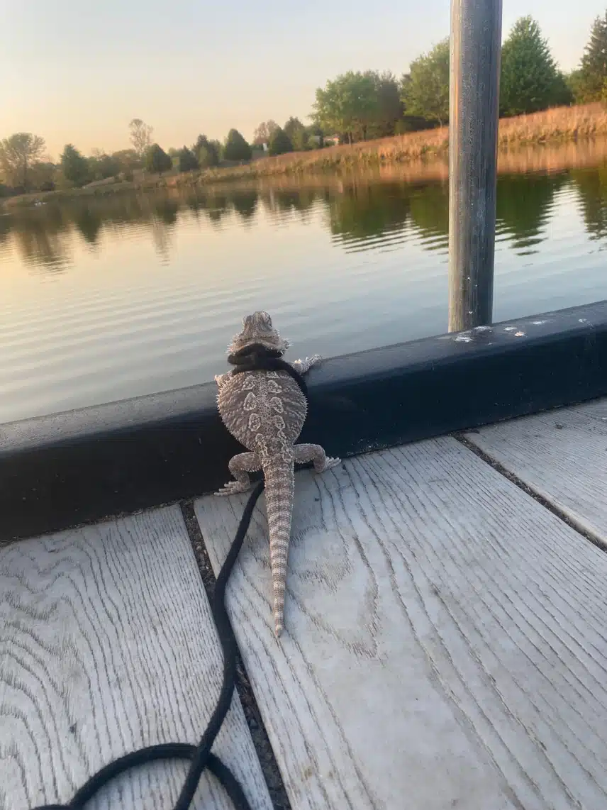 IMG_3289.jpeg_resize