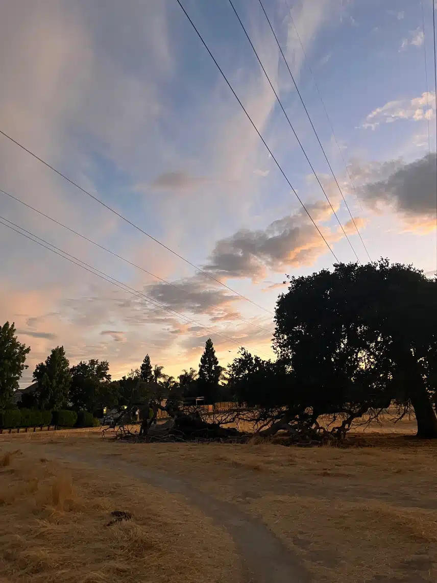 IMG_8883.jpeg_resize