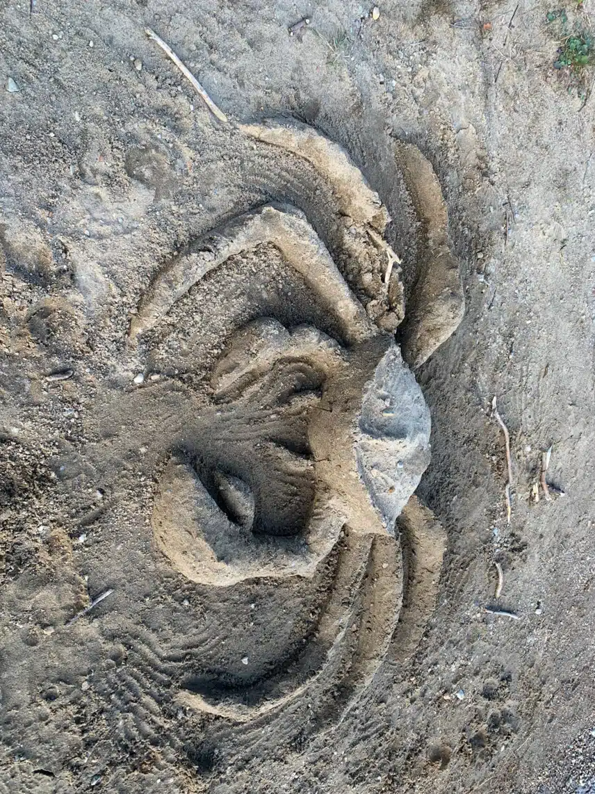 IMG_8592.jpeg_resize