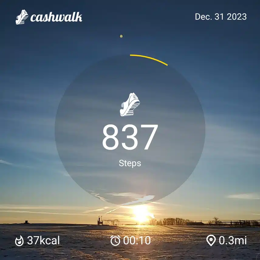 CashWalk_share_capture_20231231_46d059ed-8678-4a18-bc80-01ac1f99