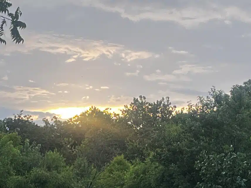 IMG_3292.jpeg_resize