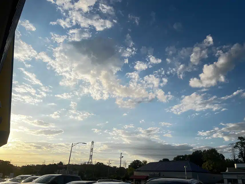 IMG_3591.jpeg_resize