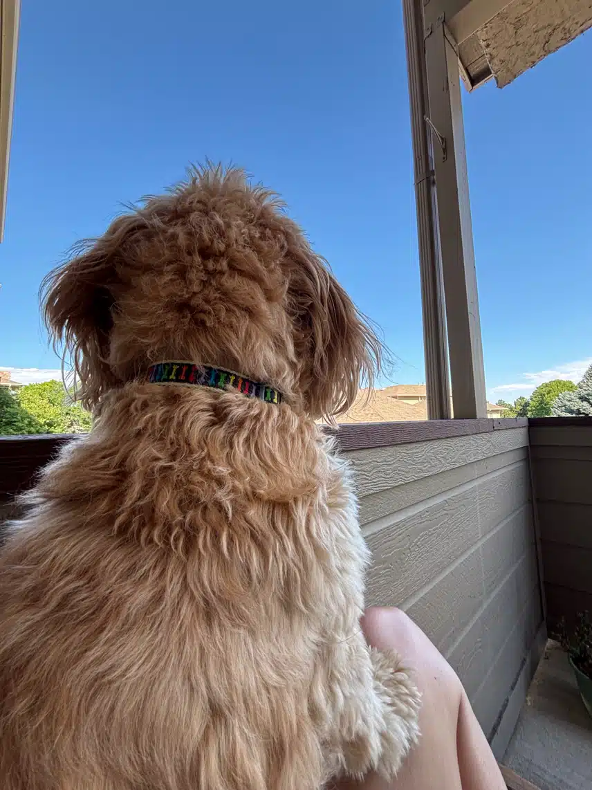 IMG_2370.jpeg_resize