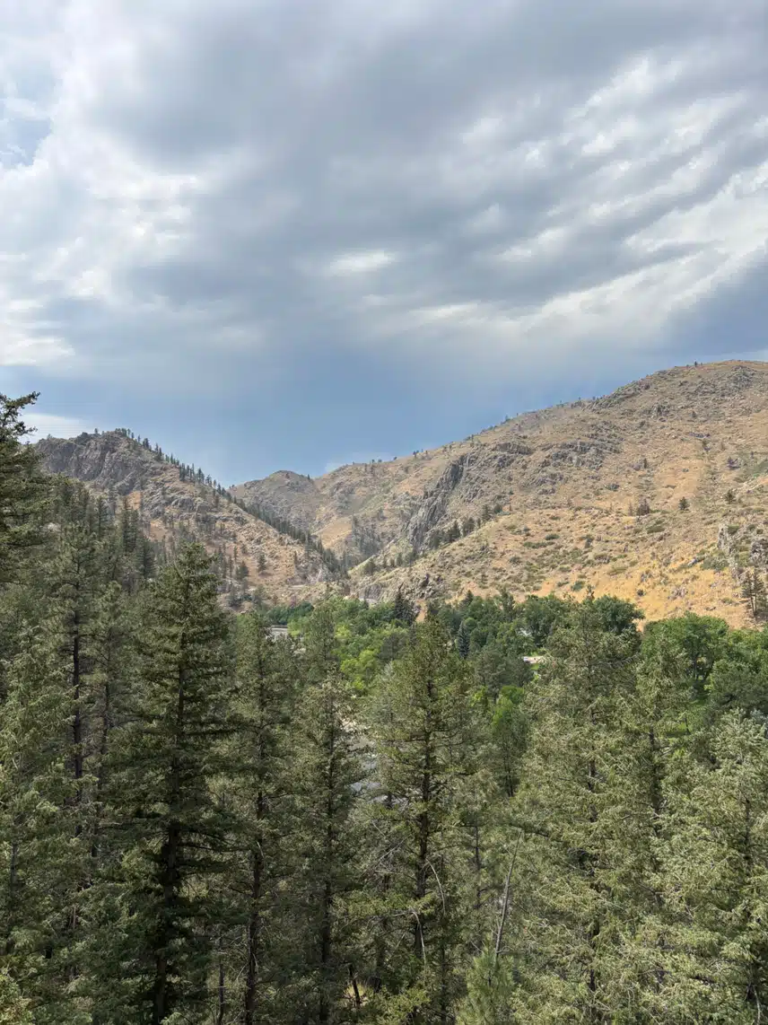 IMG_2324.jpeg_resize