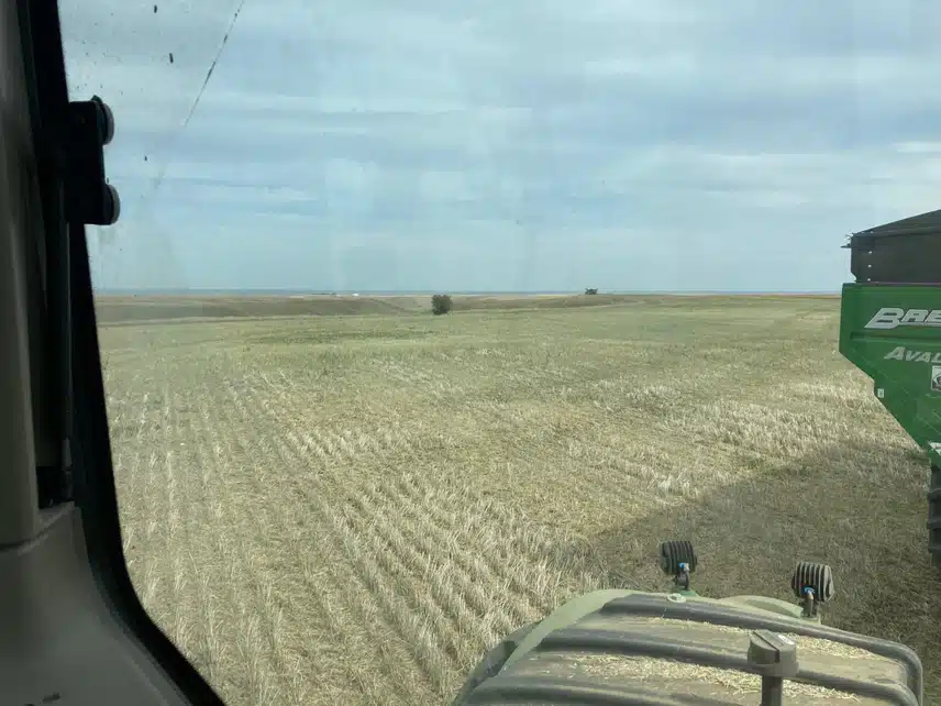 IMG_1673.jpeg_resize