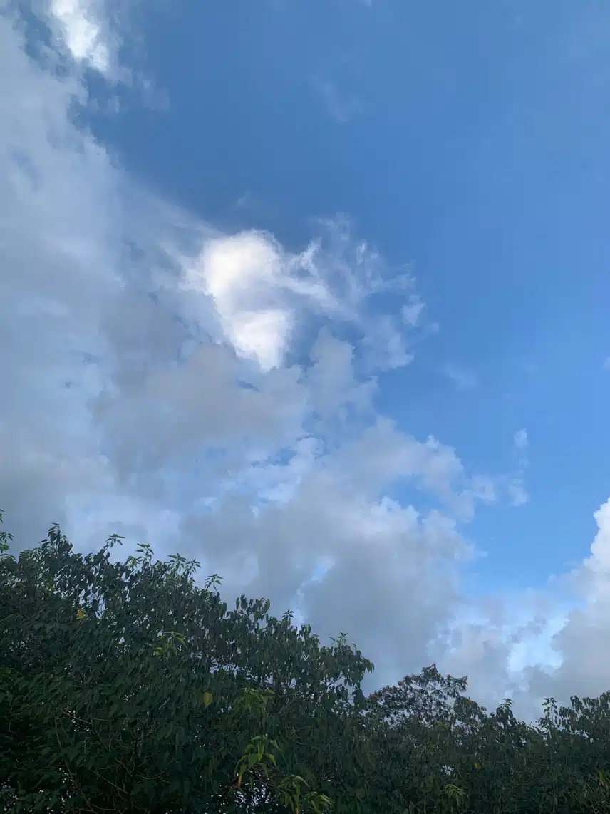 IMG_6171.jpeg_resize