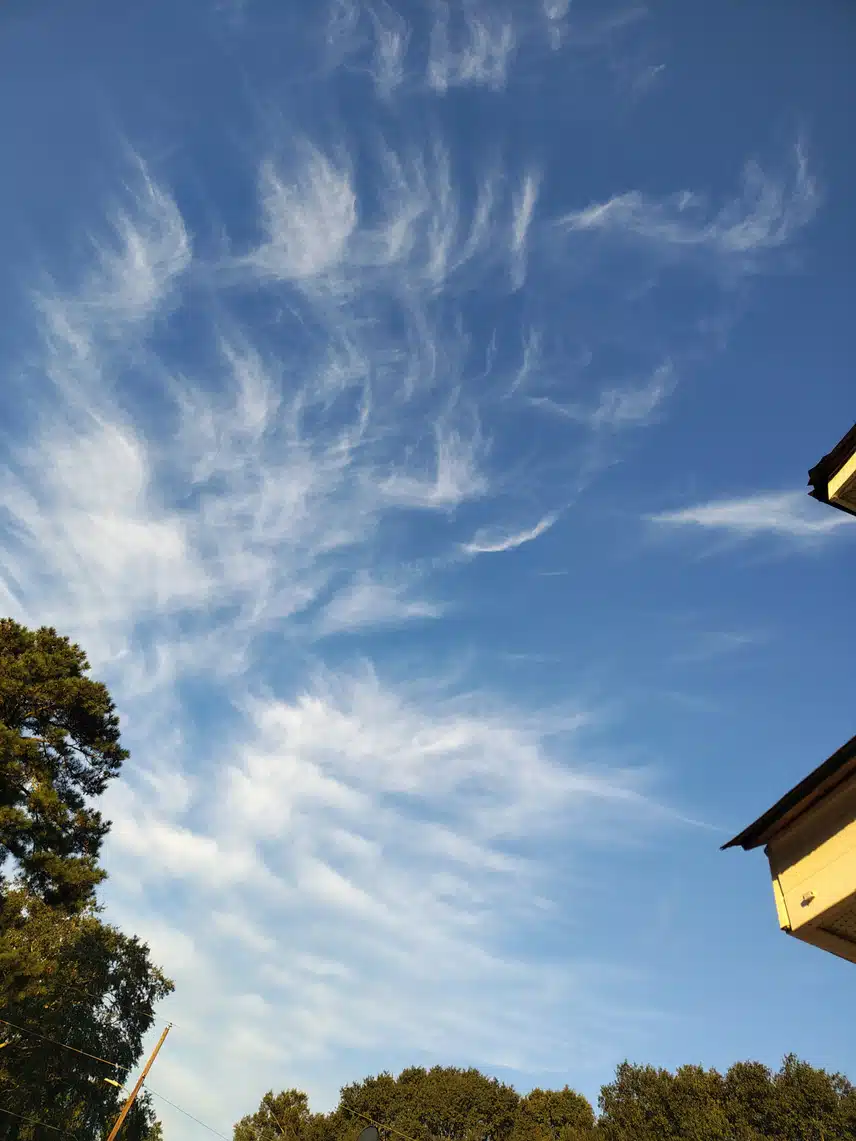 1000000368.jpg_resize