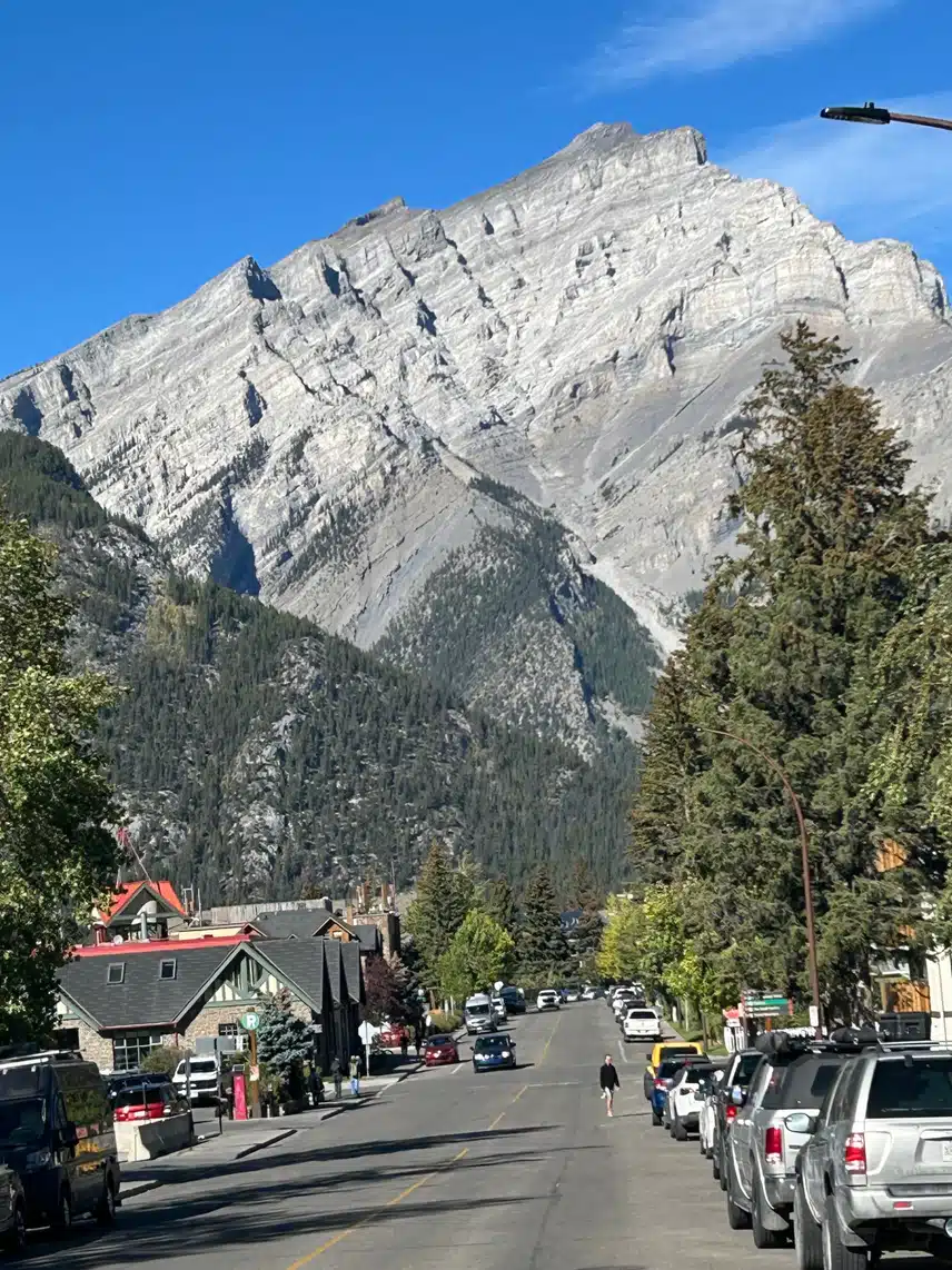 IMG_8542.jpeg_resize