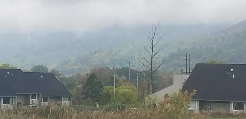 att.clzoS6dm4J4cEt4VVkjlOfhsGJRpHAHGBzkAhPFwAkQ.jpeg_resize