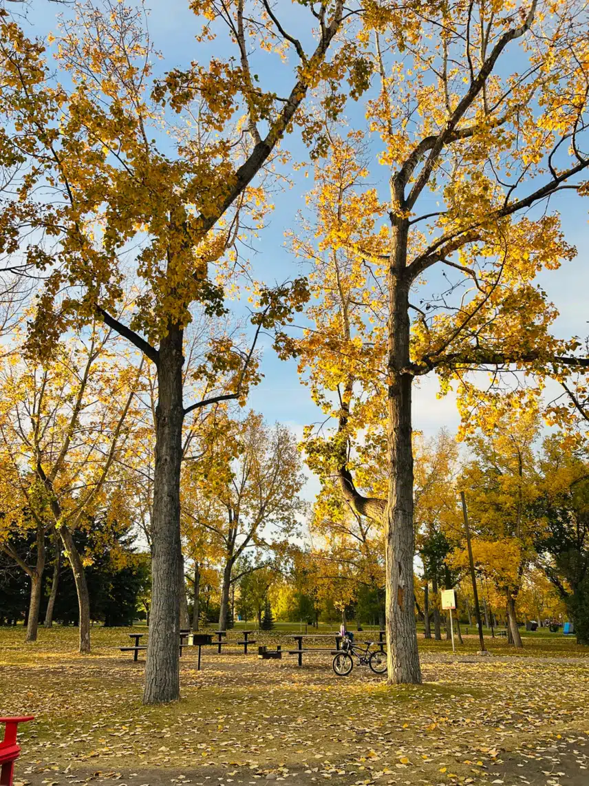 IMG_5208.jpeg_resize