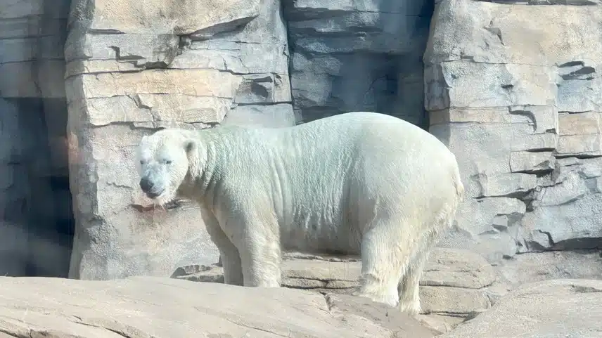 IMG_2680.jpeg_resize