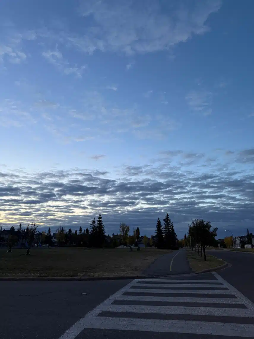 IMG_2420.jpeg_resize