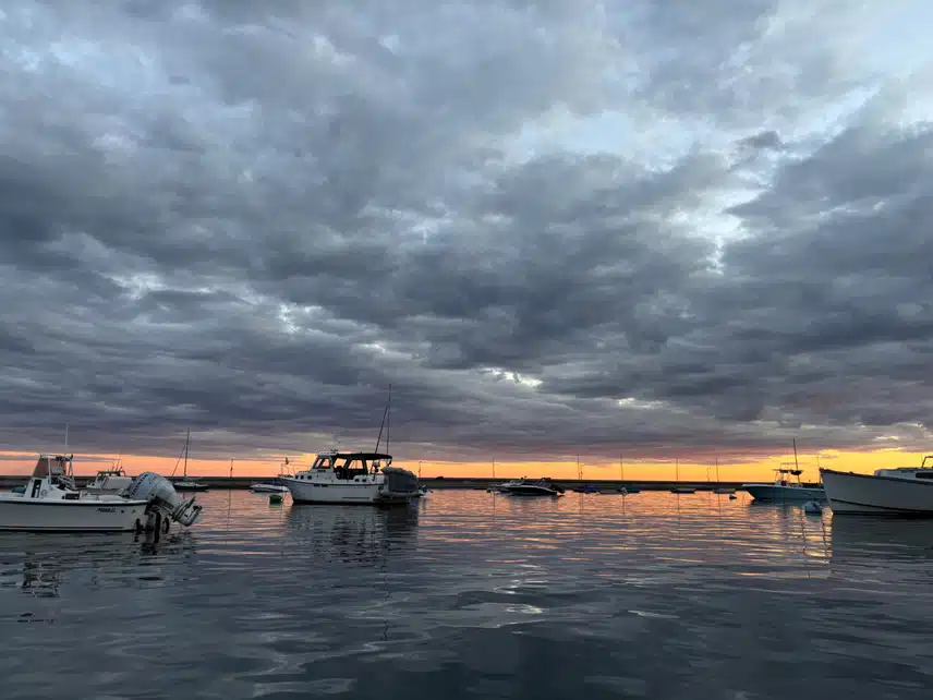 IMG_0517.jpeg_resize