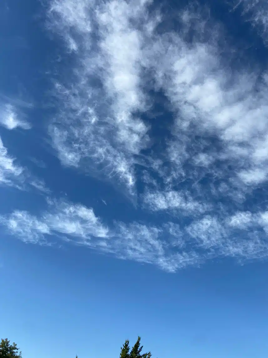 IMG_2865.jpeg_resize