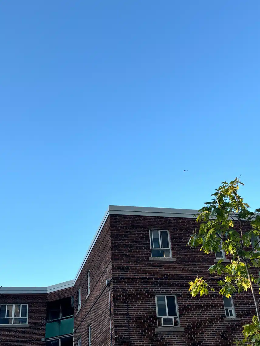 IMG_3267.jpeg_resize