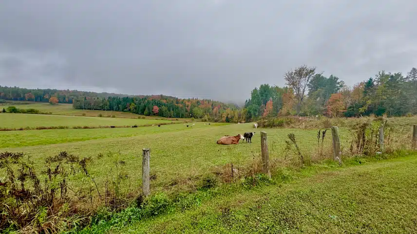 IMG_4745.jpeg_resize