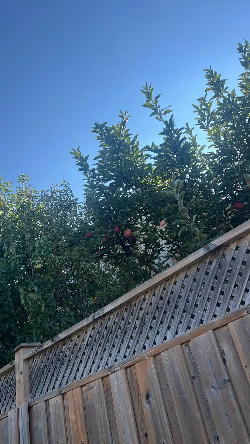 F87B76DA-C3E7-4565-8B2D-525574E1F363.jpeg_resize