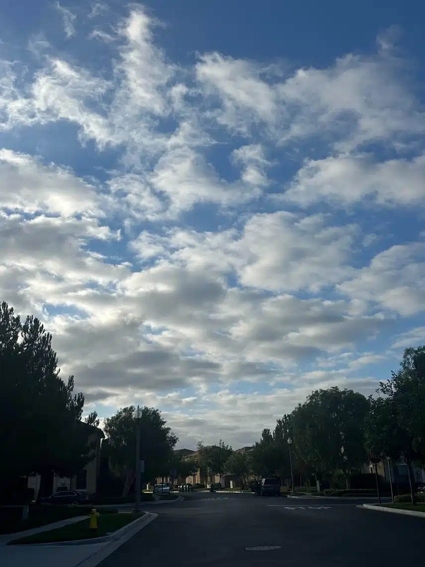 IMG_0989.jpeg_resize