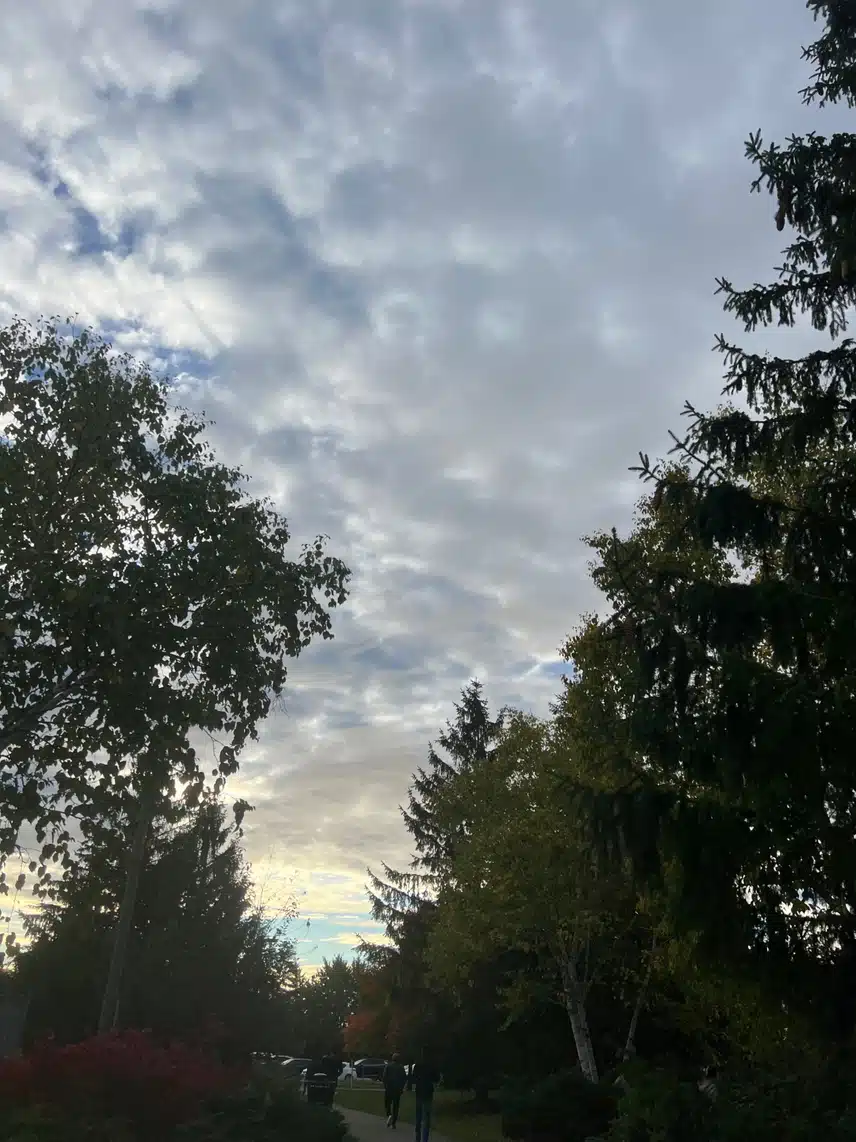 IMG_8566.jpeg_resize