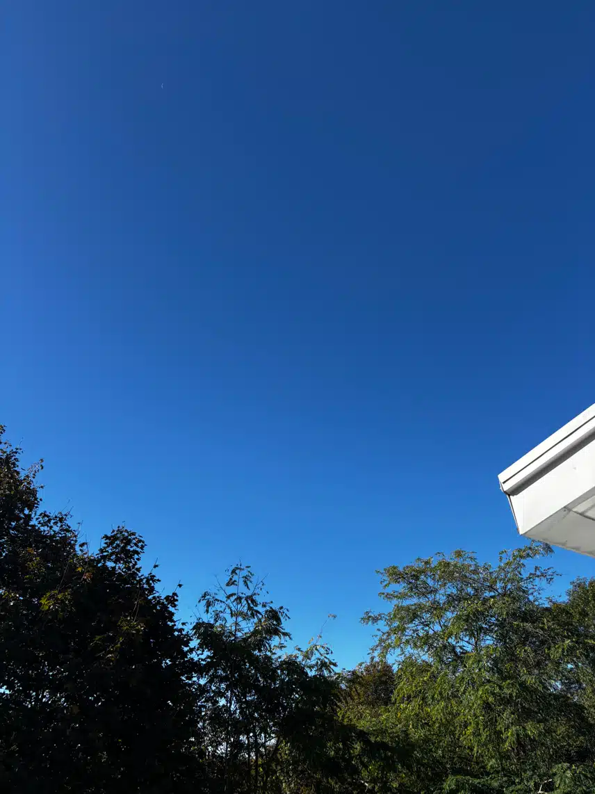 IMG_6439.jpeg_resize