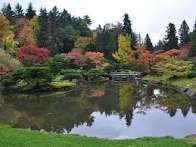 1000000036.jpg_resize