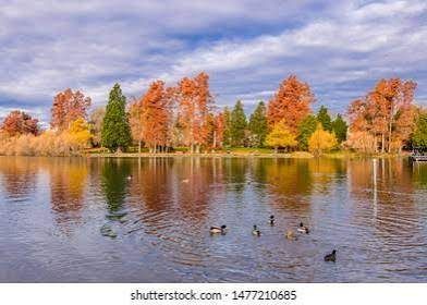 1000000036.jpg_resize