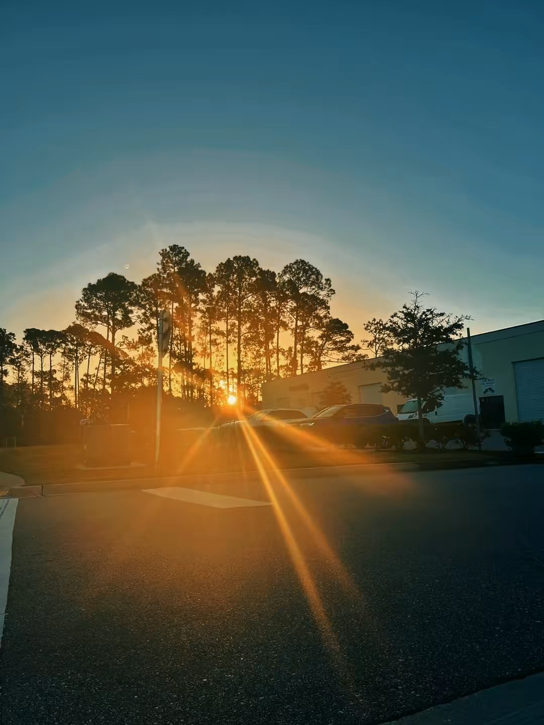 temp_image_E7D9A4A6-B1A0-4026-B8ED-C888F52A12EF.webp_resize