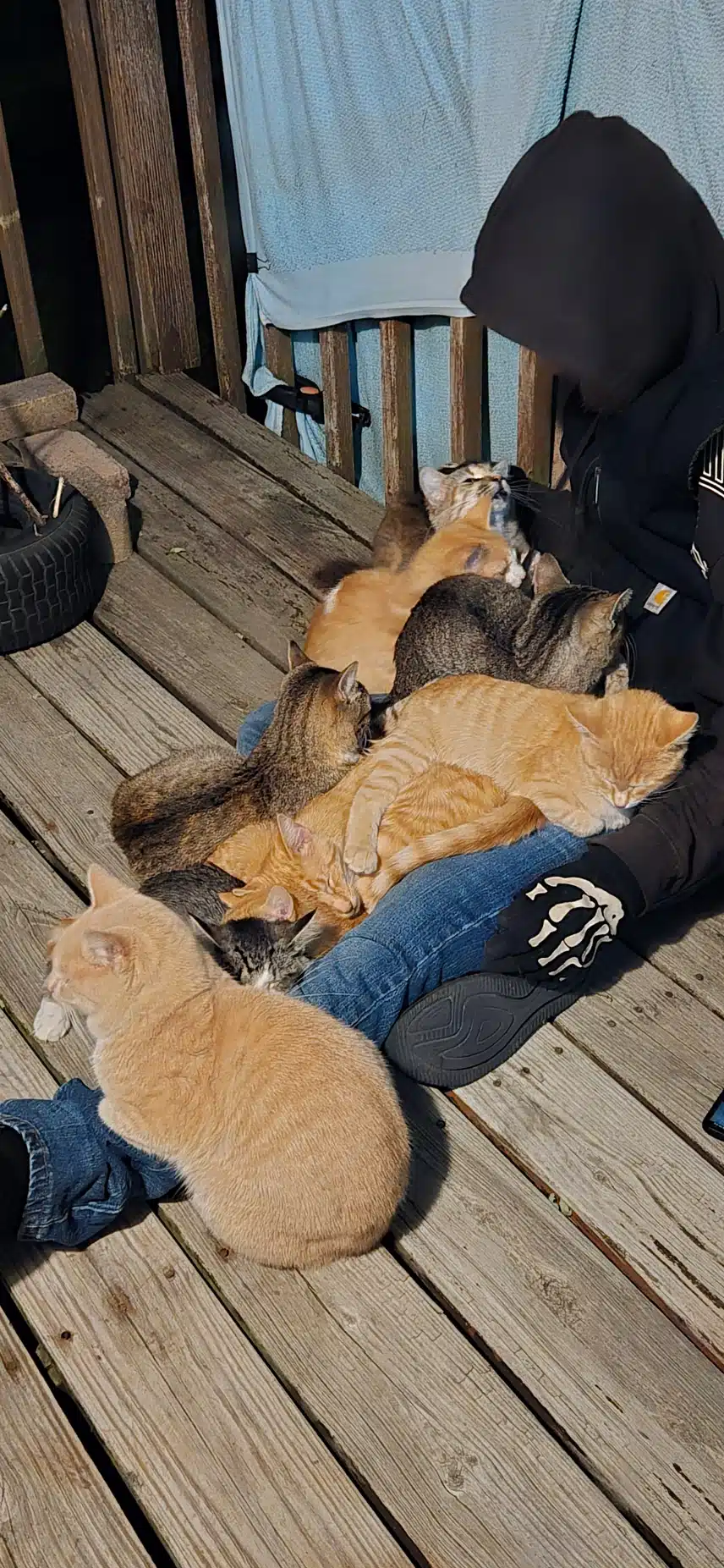 1000026866.jpg_resize