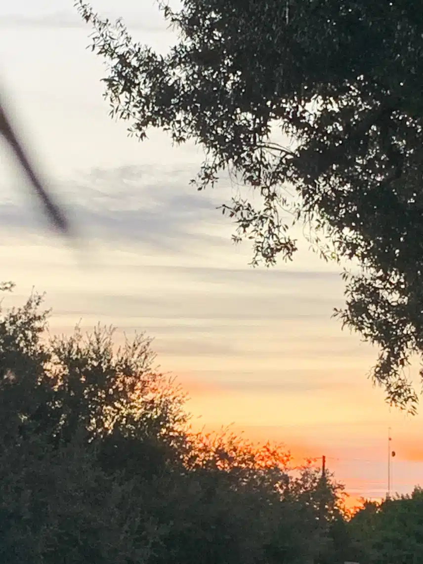 IMG_0040.jpeg_resize