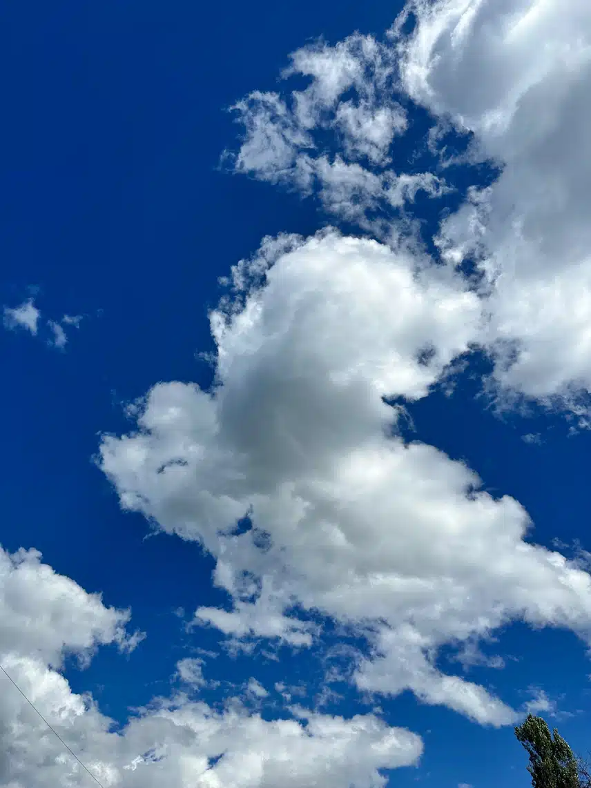 IMG_6428.jpeg_resize