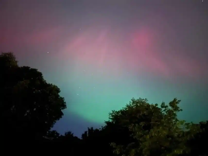 2954618849077404328.jpeg_resize