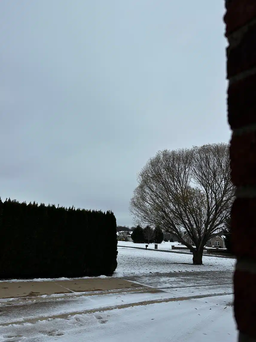 IMG_2583.jpeg_resize