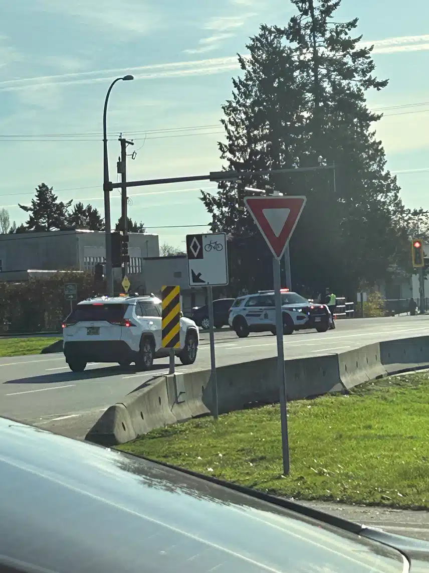 IMG_0061.jpeg_resize